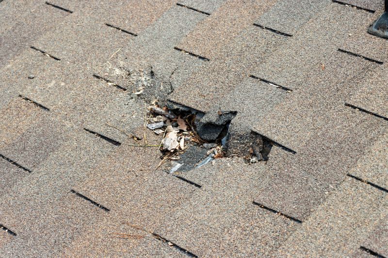Leaky Roof Replacement in Dunlap, TN